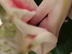 Finger Fuck  : The Deflowering of a Flower