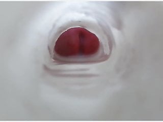 Clear internal Fleshlight quickie with sound