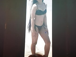 Cumtribute SoP requested by Tributing-My-Meat