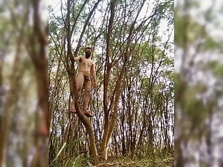Climbing the tree naked