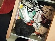 cumming on a panty drawer