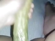 Cucumber pussy sex
