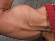 SP Biceps 1