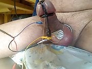 electro whith estim2B