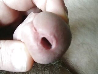 Spritzer 2811 Ich Spiele gerne mit meinen Schwanz