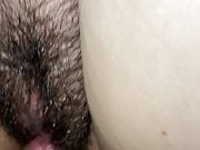 Rubing cock fat  hairy pussy
