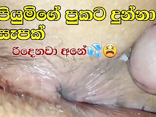 Sinhala Sex, Dogging, Desi, Anal