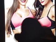 Bella Twins 