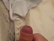 Cumming over wife's used panties 2