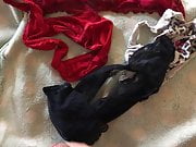 Cum in wife panties