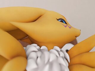 Sexy big ass Renamon ass fucked  POV