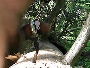 E-stim in forest