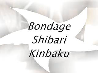 Shibari Bondage, Whipping, Mistress, Domination