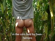 wanking in the corn field