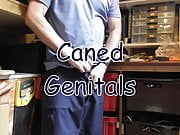 Caned Genitals