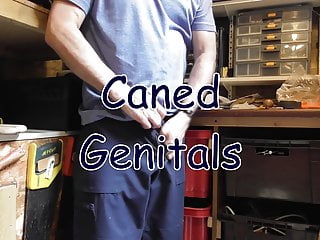 Caned genitals...