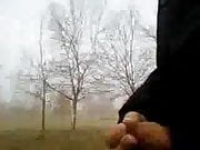 in foggy day I cum in a park 1