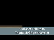 Tribute for Tributemygf