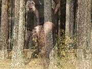 Sexy booty in the woods