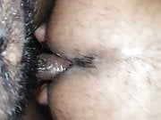 Sri lankan hairy chubby ass bareback - 3