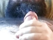 bearded bear cums