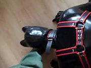 Rubber Puppy Play In Rubber Waders