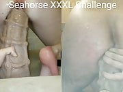 Mr. Hankeys Seahorse XXXL - couple's challenge. 