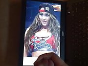 Nikki Bella Tribute 03