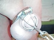 leashed in Chastity
