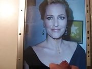 Cum on Gillian Anderson