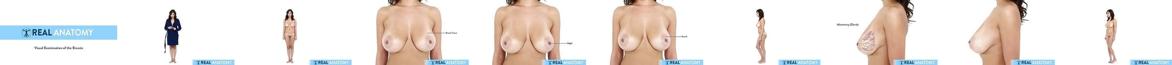 Real Female Anatomy Visual Examination Of The Vulva 1 Xhamster