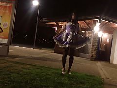 Sissy flashing rest area and licking public toilet