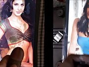 Katrina Kaif Dual Cum Tribute