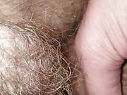 Quick fuck pussy hairy 