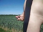 Wanking in a wheat field