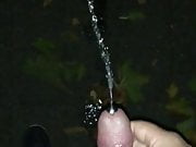 Peeing with hard dick outdoor 