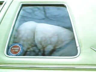 Slut In Car Moons Older Couple Through Window...
