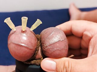 Testicle Skewering Cbt Edging Cumshot With 3 Needles Precum Stretched Balls...