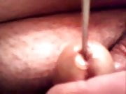 Penis urethra play