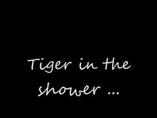 Tiger in the shower - Bild 1
