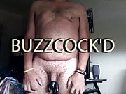 BUZZCOCK'D