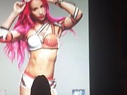 WWE Diva Sasha Banks Tribute 01