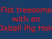 Pig Hole Tree Some