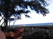 Having fun in the hawaiian sun